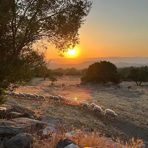 Su Saucu Dorgali
